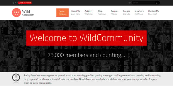 WildCommunity - BuddyPress Community Theme