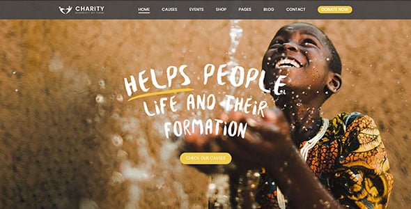 Charity Foundation WordPress